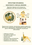 Простые правила здорового образа жизни